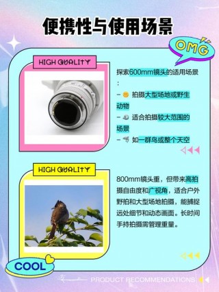 600定焦镜头拍鸟最佳距离，600定焦能拍多远？