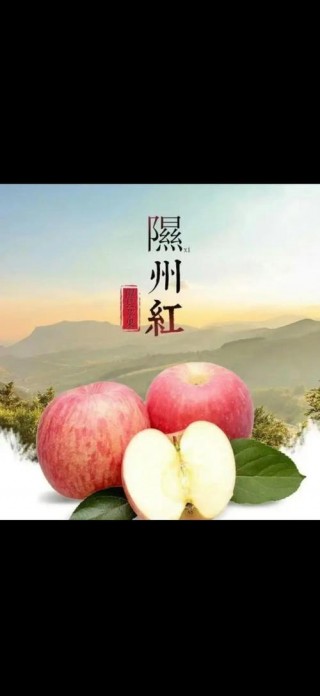 山西苹果之乡在哪里，山西苹果之乡在哪里啊？