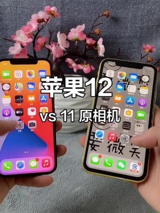 苹果11对比12参数？苹果11对比12参数表