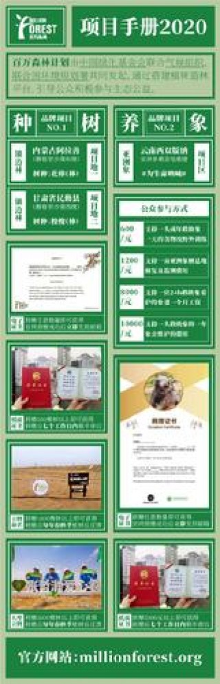 经济林笔记本电脑推荐，经济型笔记本推荐