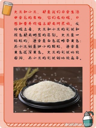 护理专业小米笔记本电脑推荐，护理专业买电脑