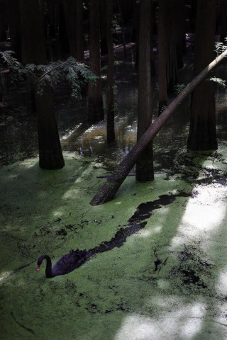 佳能长焦广角镜头？佳能长焦广角镜头推荐