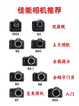 入门单反和中高端区别？入门级和中端单反怎样选取