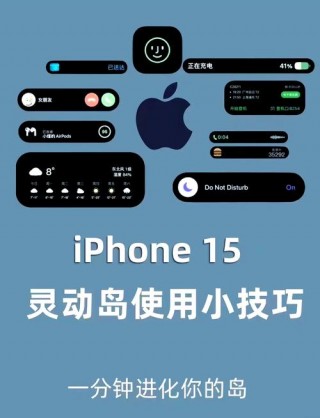 iphone14plus有灵动岛吗，灵动linden