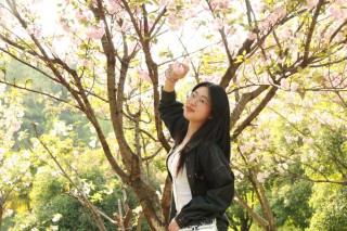 佳能600d和50d哪个好，佳能55d和600d