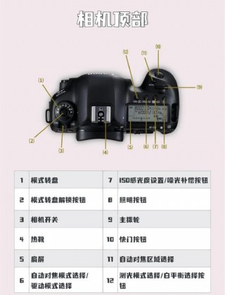 5d是什么相机，5d拍照技术与普通有什么区别？