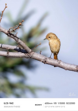 佳能中画幅相机推荐？佳能中端全画幅相机