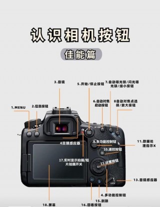 佳能相机ds126311，佳能相机ds126311相机拍照行吗？