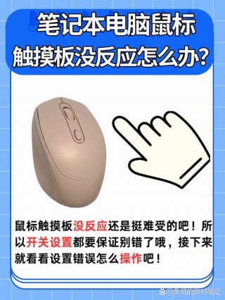 dell笔记本电脑触摸板没反应怎么办，戴尔笔记本触摸屏没有反应怎么办？