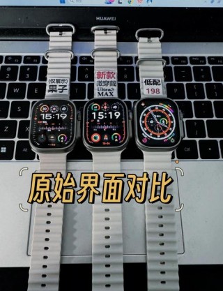 苹果手表3代使用方法，苹果手表3代使用方法图解？