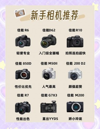 尼康d5300有触摸屏吗，尼康d500触摸屏怎么用