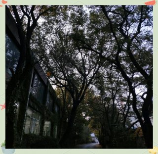 带木头的笔记本电脑推荐？带木头的笔记本电脑推荐哪款