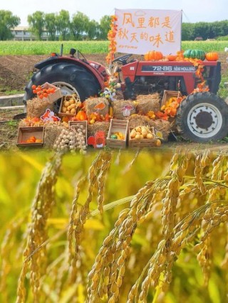 为啥苹果没有9和10就到11了，苹果为什么没9和10