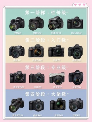 佳能r6费用稳定在多少，佳能r6官方标配？