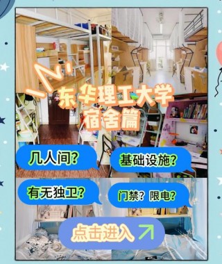 宿舍笔记本电脑网线推荐，宿舍用的网线