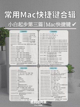 苹果笔记本怎样关机，苹果笔记本电脑怎样关机,简单的？