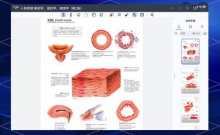 医生笔记本电脑推荐，学医笔记本推荐？