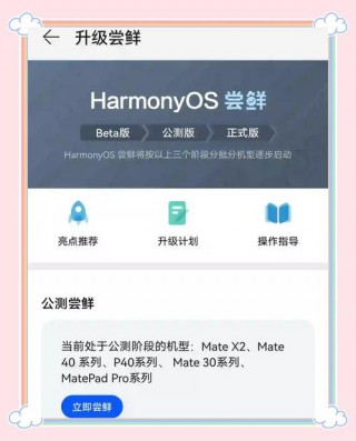 华为mate30能不能升级鸿蒙系统，mate30能升级鸿蒙吗？