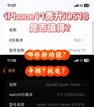 苹果11版本怎么更新？苹果版本怎么更新到161