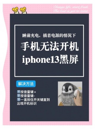 苹果怎么强制关机触屏不好使？pingg苹果手机怎么强制关机