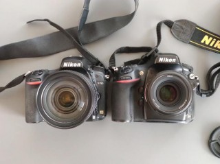 尼康d800对焦怎么样，尼康d800对焦怎么样好用吗