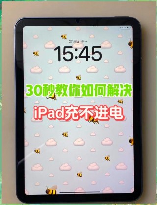 苹果平板电脑充不进去电怎么办，苹果平板电脑充电充不进去是怎么回事？