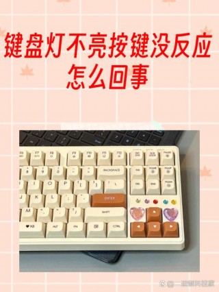 电脑鼠标和键盘没反应是什么原因，电脑鼠标和键盘都没反应了