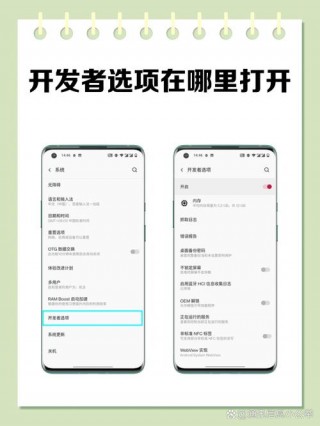 小米开发者选项在哪里找？小米的开发者选项在什么地方