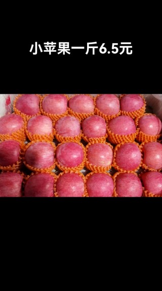 苹果多少钱一斤是正常费用？苹果多少钱一斤惠农网