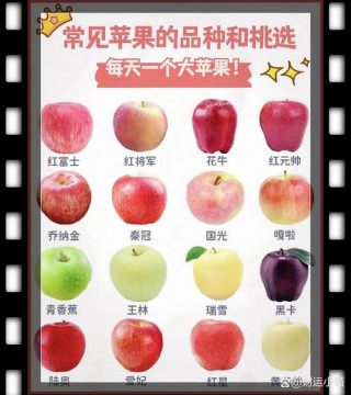 最新苹果什么时候上市，苹果最新款什么时候上架