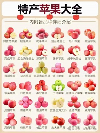 苹果哪里的好？寒富苹果哪里的好