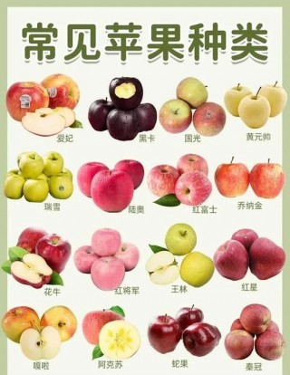 苹果有多少种？苹果有多少种营养成分