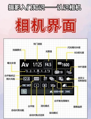 单反相机知识大全，单反相机科普？