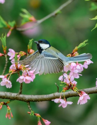 佳能r5和r7差别大吗，佳能r5和r7差别大吗怎么区分？