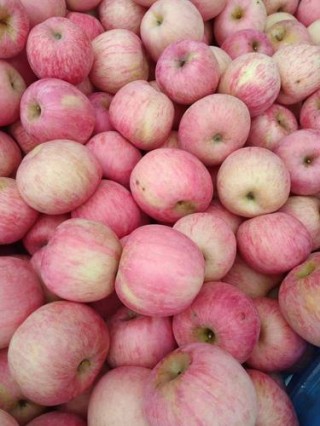 正宗红富士苹果是哪里的，正宗红富士苹果是哪里的水果？