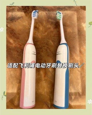 飞利浦电动牙刷头都是通用的吗？飞利浦电动牙刷头各个型号通用吗?