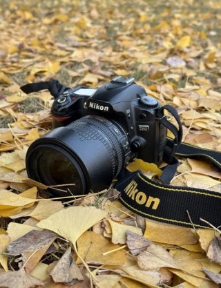 尼康d80快门速度怎么调，尼康d80快门在哪里