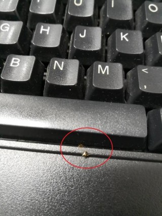 笔记本电脑推荐小虫，笔记本电脑小众