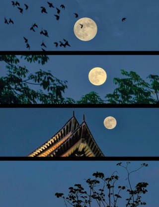 单反相机如何拍月亮？单反相机拍月亮参数怎么调