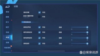 王者麦克风权限怎么打开，王者麦克风权限怎么打开不了