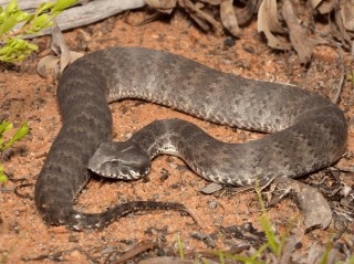 玖合的内存条真的很差吗，玖合的内存条真的很差吗安全吗