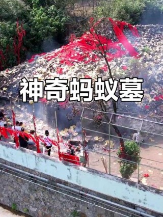 三星堆遗址为啥叫三星蚂蚁庄园，震惊世界的三星堆遗址为什么叫