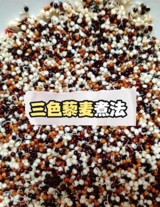 小米三种人不能吃，哪些人不适合吃小米粥?