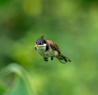 尼康d500是什么档次？尼康d500是什么档次的相机