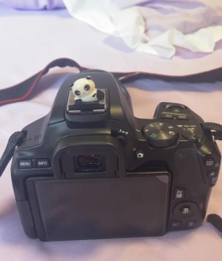 佳能200d属于什么档次，佳能200d是什么级别