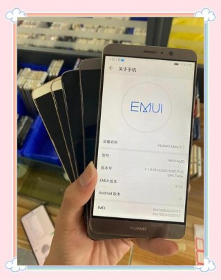 华为nova2s可以双卡双待吗，华为nova2s可以支持双电信卡吗