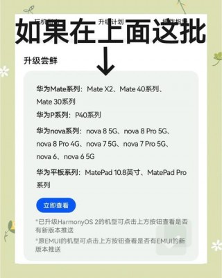 华为p30怎么申请升级鸿蒙系统，华为p30手机怎么升级鸿蒙？