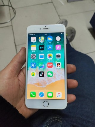 苹果6p多大内存，苹果6p最大内存多少g？