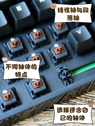 键盘轴有什么区别?？键盘轴有啥区别