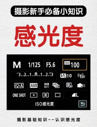 佳能500d感光度怎么扩展，佳能500d怎么调景深